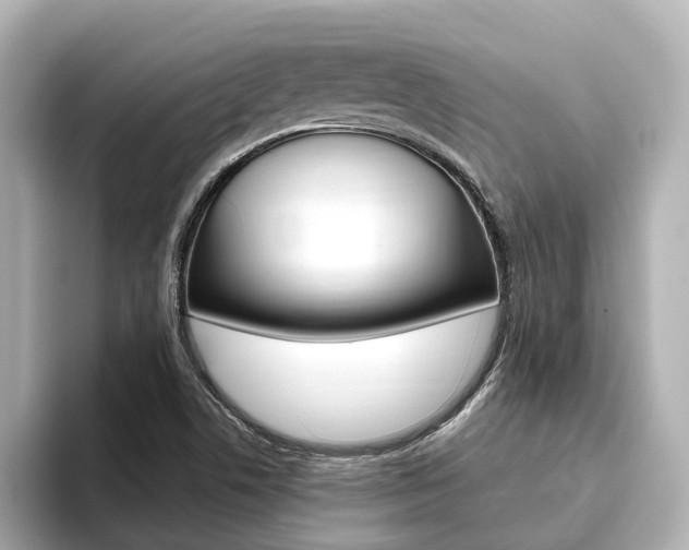 X0000093751506200710160800