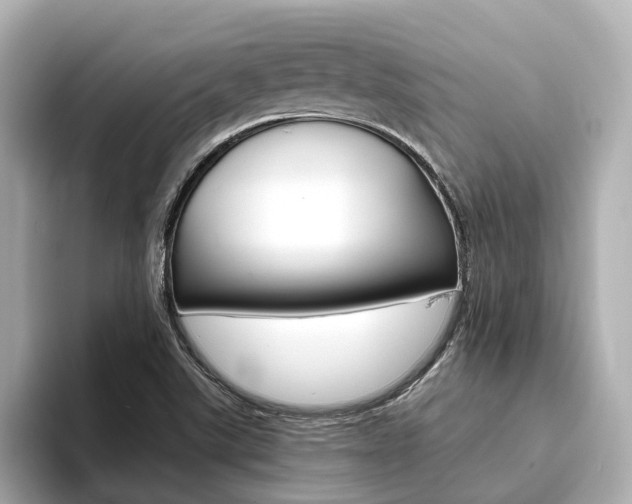 X0000093751507200710160800