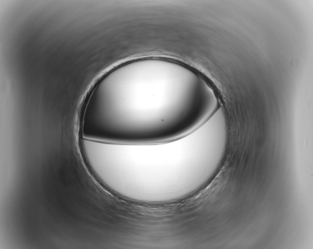 X0000093751508200710160800