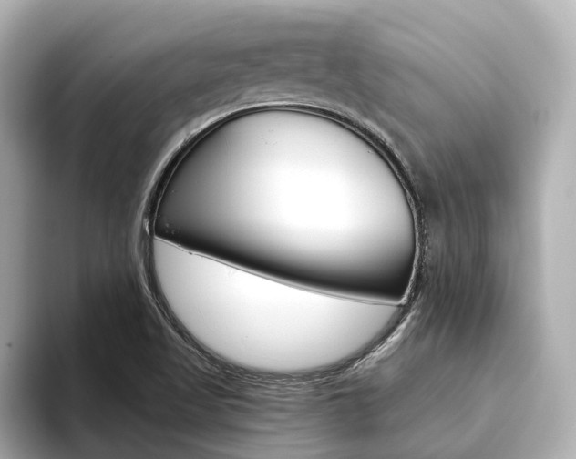 X0000093751509200710160800