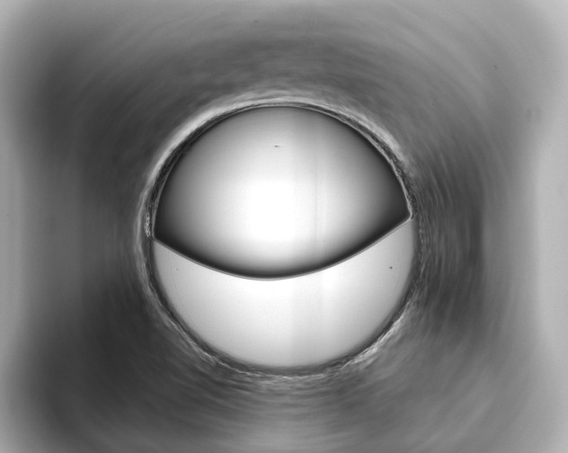 X0000093751510200710160800