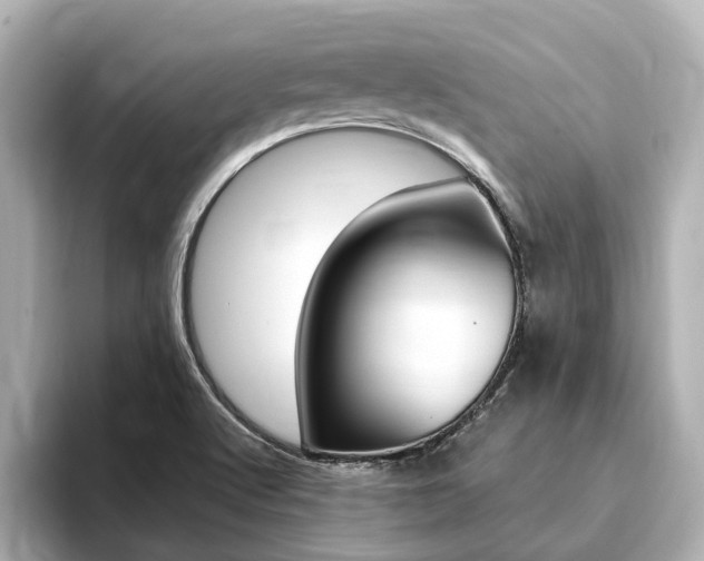 X0000093751512200710160800