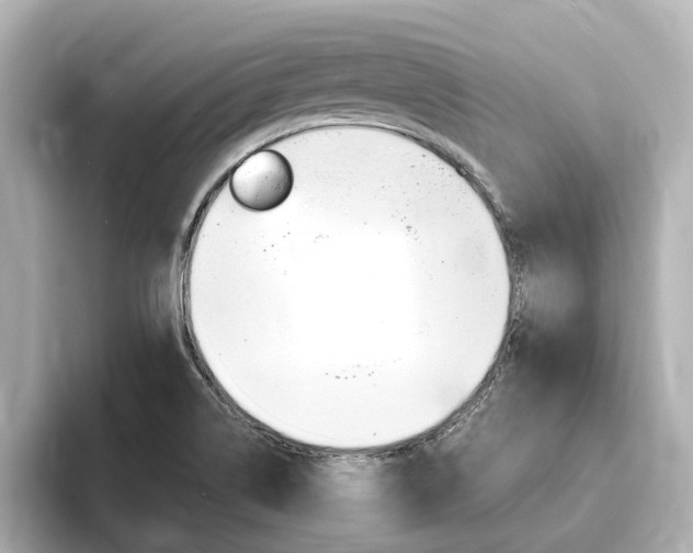 X0000093751514200710160800