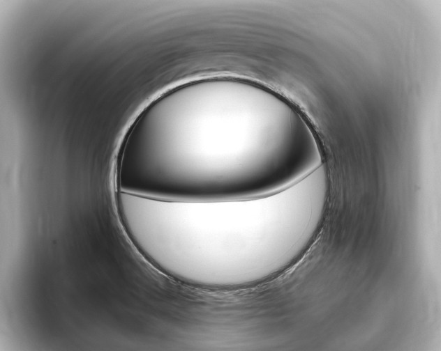 X0000093751516200710160800