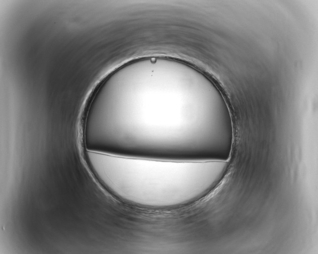 X0000093751517200710160800