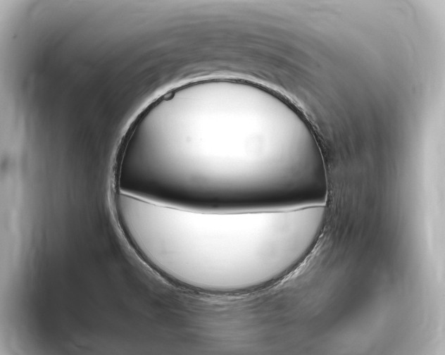 X0000093751518200710160800