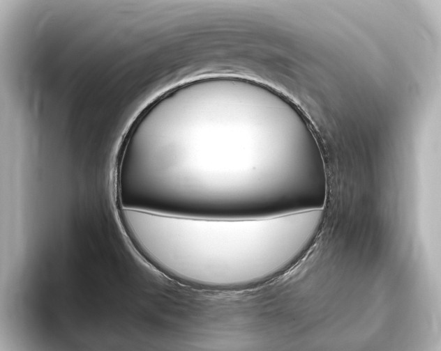 X0000093751519200710160800