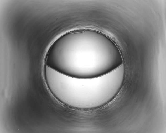 X0000093751520200710160800