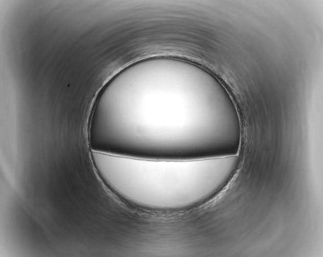 X0000093751521200710160800