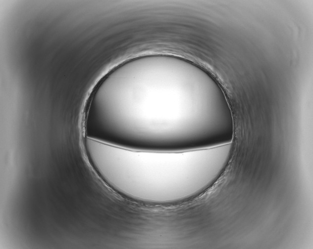 X0000093751522200710160800