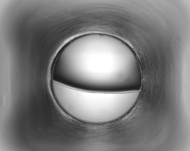 X0000093751523200710160800