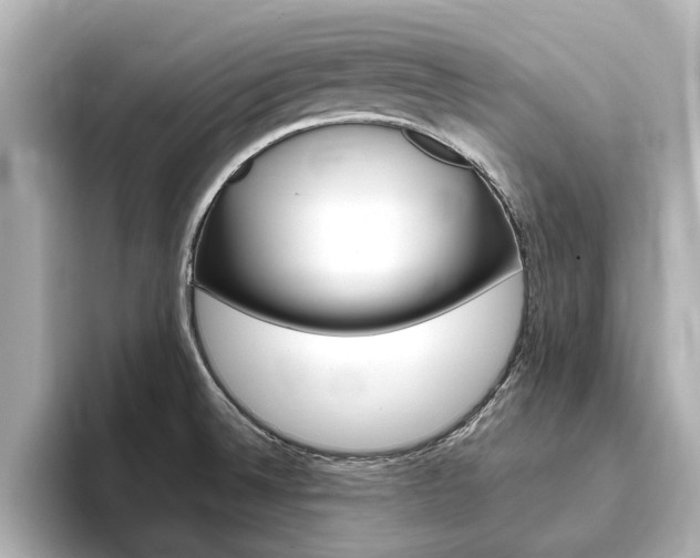 X0000093751524200710160800
