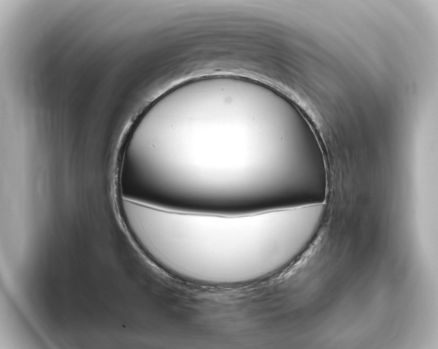X0000093751525200710160800