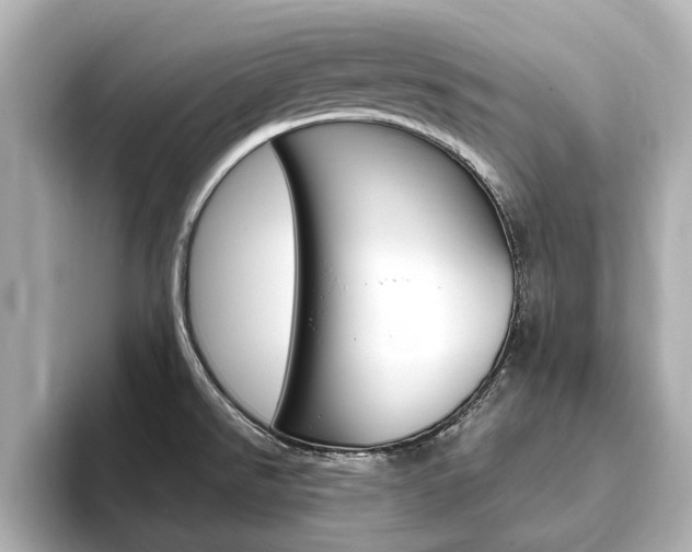 X0000093751526200710160800