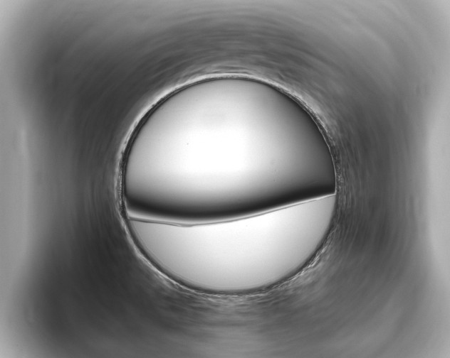 X0000093751527200710160800