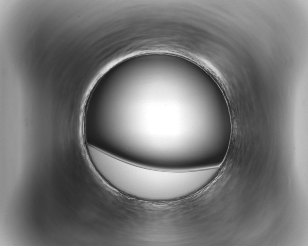 X0000093751528200710160800