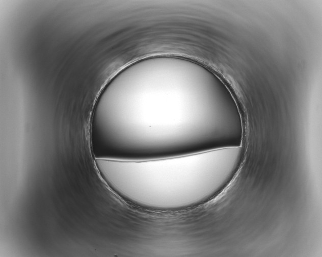 X0000093751529200710160800