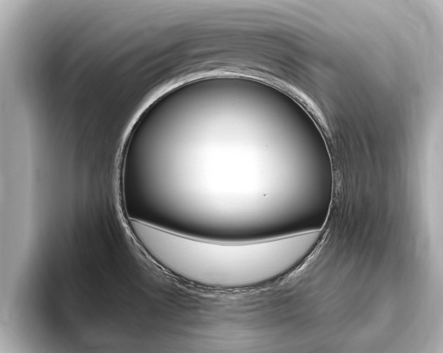 X0000093751530200710160800