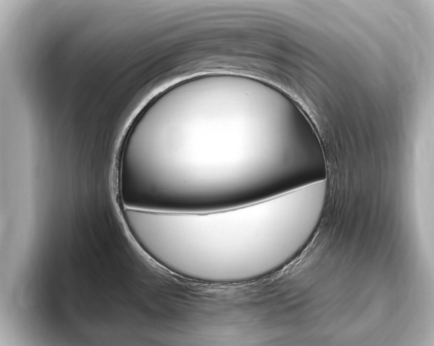 X0000093751531200710160800