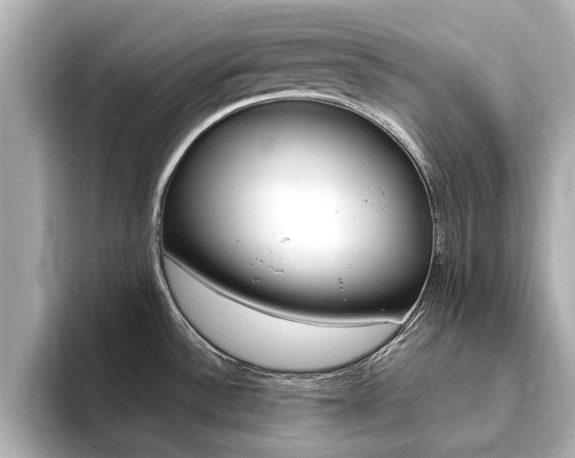 X0000093751532200710160800