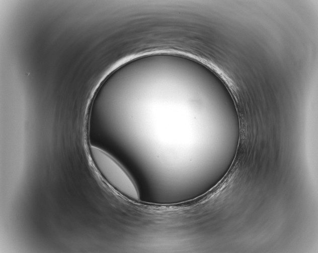 X0000093751534200710160800