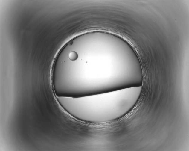 X0000093751535200710160800