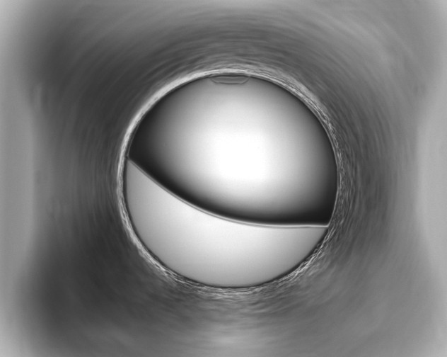 X0000093751536200710160800