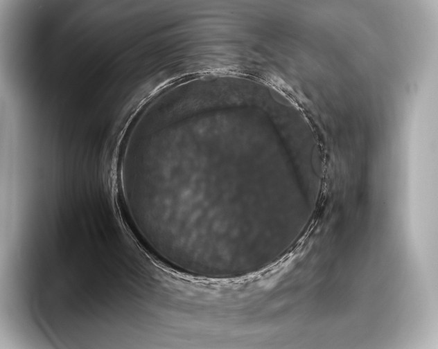 X0000093750002200710161206