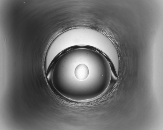 X0000093750003200710161206