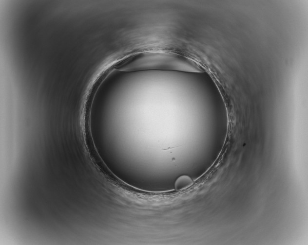 X0000093750006200710161206