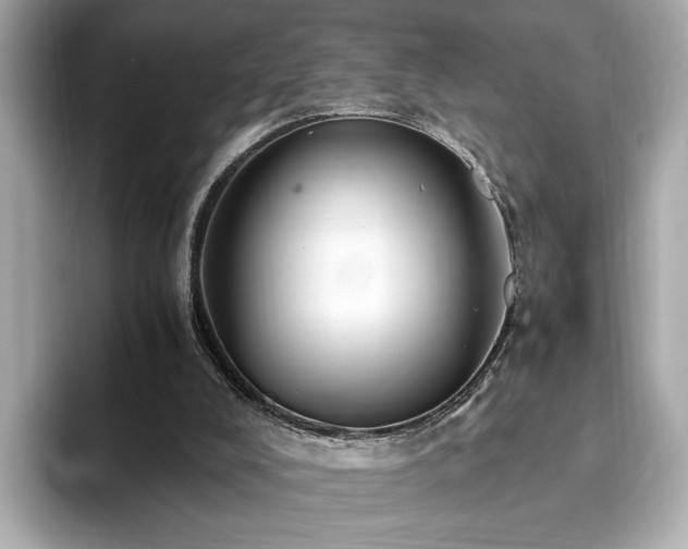 X0000093750008200710161206
