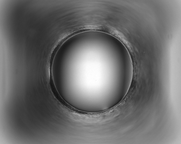 X0000093750011200710161206