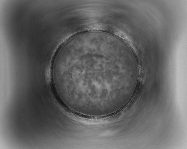 X0000093750012200710161206