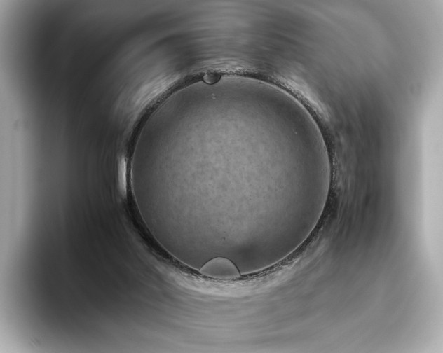 X0000093750014200710161206