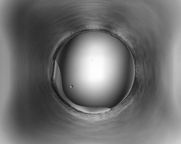 X0000093750015200710161205