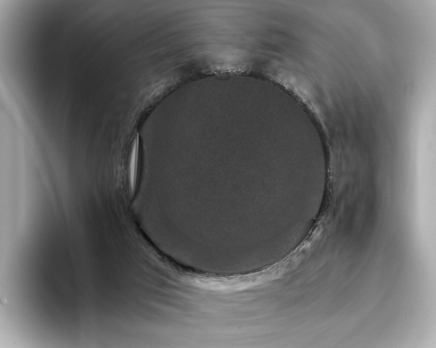 X0000093750017200710161205