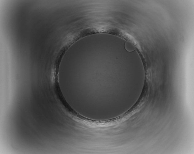 X0000093750018200710161205