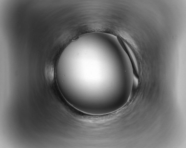 X0000093750021200710161205
