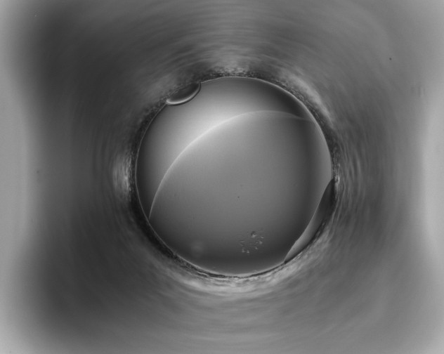X0000093750023200710161205