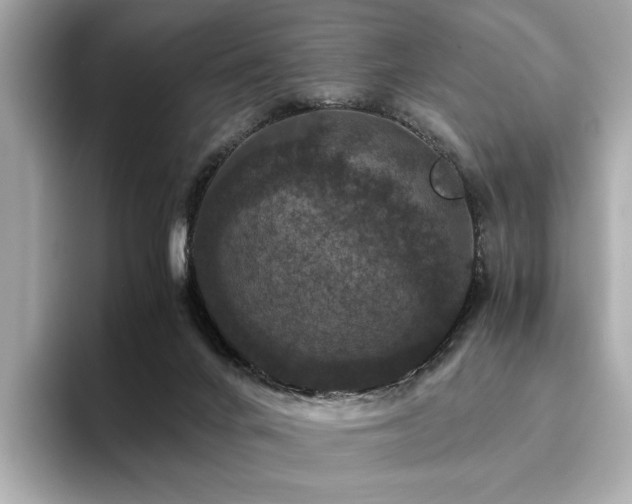 X0000093750024200710161205