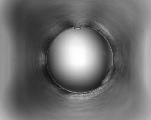 X0000093750025200710161205
