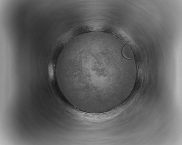 X0000093750026200710161205