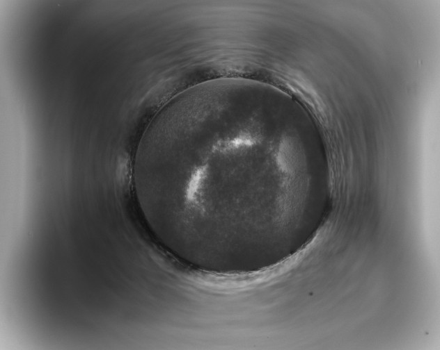 X0000093750029200710161205