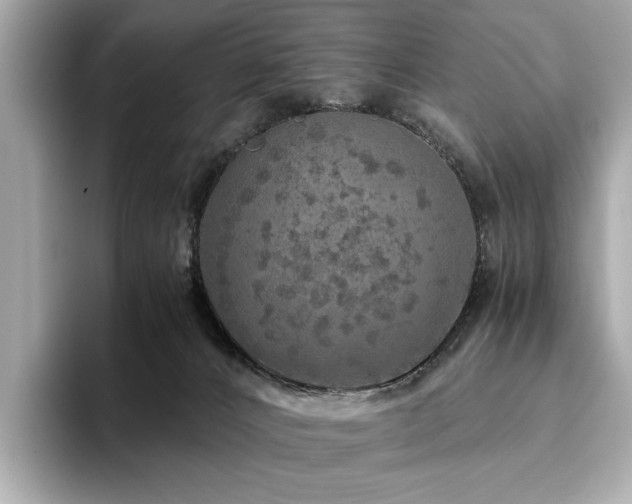 X0000093750032200710161205