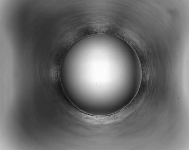 X0000093750034200710161205
