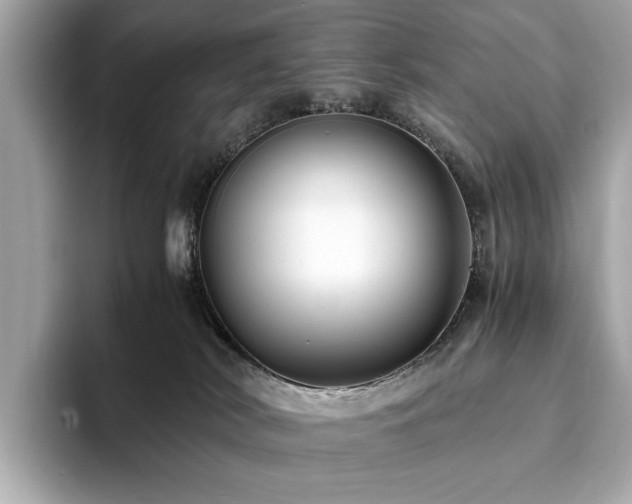 X0000093750038200710161205