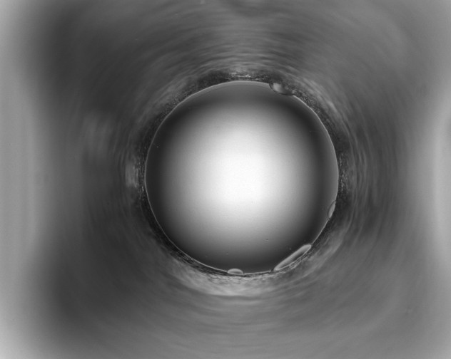X0000093750044200710161205