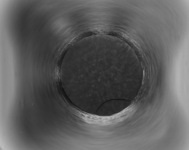 X0000093750048200710161205