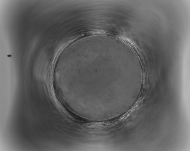 X0000093750049200710161205
