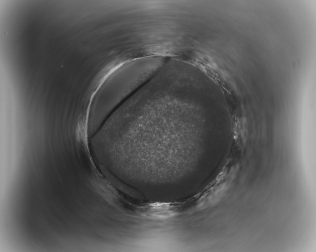 X0000093750052200710161205